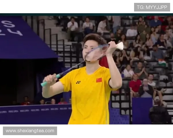 陈涛：新鹏城地狱赛程无退路