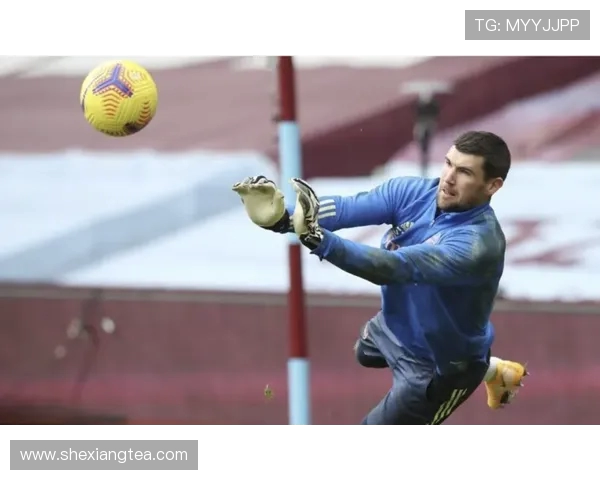 马修 - 瑞安百场扑点助澳洲晋级，社媒发声：梦想终会实现(1)